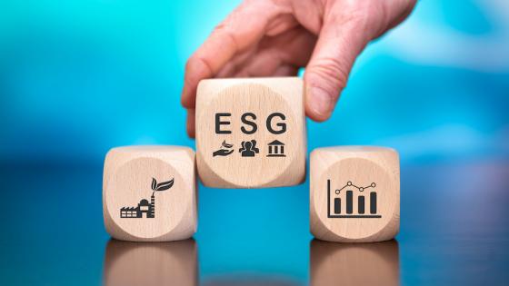 高管薪酬与ESG业绩挂钩