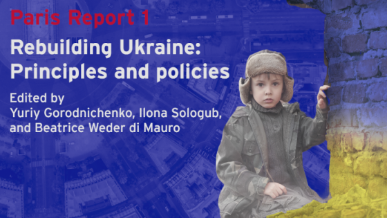 在线发布:重建乌克兰