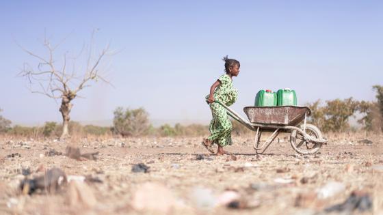 非洲妇女用轮盘运淡水