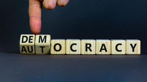 手把木头方块和改变专制向民主这个词。