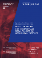 日内瓦23日:一切都在混合:货币政策和财政政策如何协同工作或失败