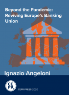 超越大流行:复兴欧洲银行业联盟