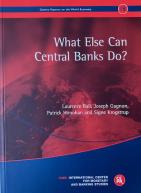 日内瓦18:中央银行还能做什么