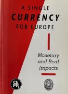 欧洲的单一货币:货币和实际影响